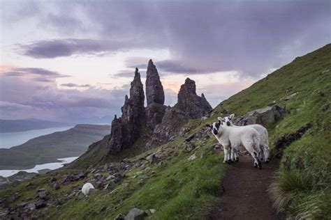 Isle of Skye - Old Man of Storr Hike, Scotland - Travel Photography