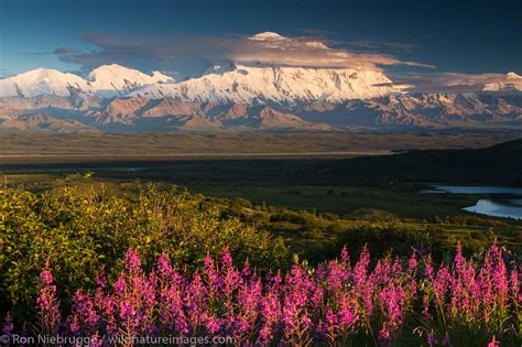 The mountain known as Denali. | Denali National Park, Alaska. | Photos by Ron Niebrugge