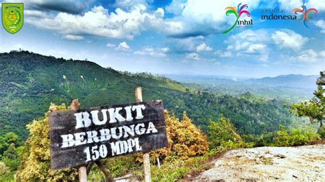 Nikmati Alam Bukit Berbunga di Kabupaten Inhil