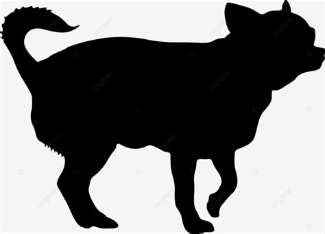 Dog Chihuahua Silhouette PNG Images, Chihuahua Dog Silhouette On A ...