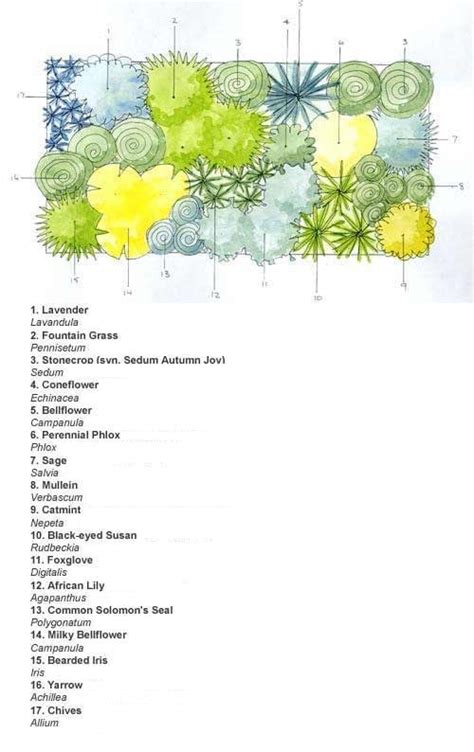 Ready-made border Cottage garden scheme