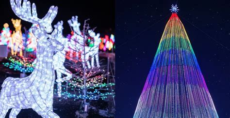 This map shows the best Christmas light displays and events in Montreal ...