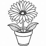 Gerbera Daisy Flower Outline Illustration coloring Book Page Design  sketch template