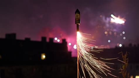 Silvester: NABU Hamburg ruft zum Verzicht auf Feuerwerk auf | NDR.de - Nachrichten - Hamburg