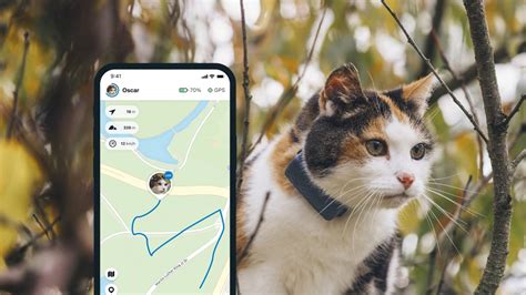 GPS Tracker für Katzen mit Aktivitätstracking | Tractive