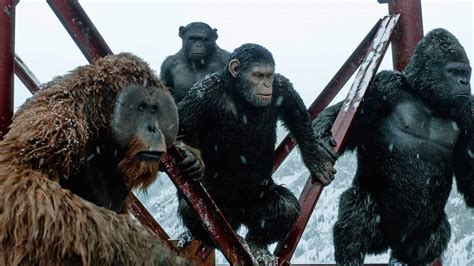 New Planet Of The Apes Movie 2024 Cast - Bessie Marsiella