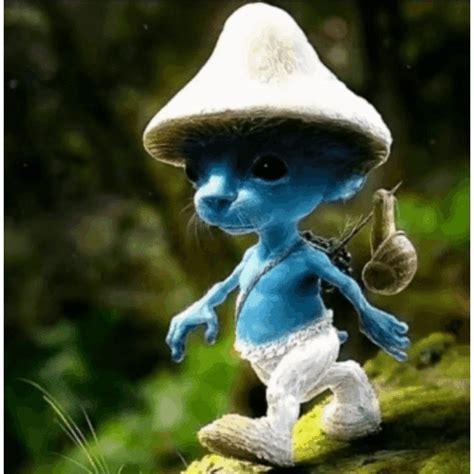 Cat Smurf GIF – Cat smurf – discover and share GIFs