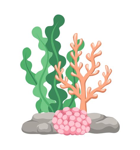 Coral reefs with algae, seaweed and rocks vector cartoon illustration 19816097 Vector Art at ...