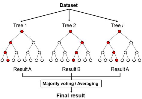 Schematic diagram of the random forest classifier. | Download Scientific Diagram