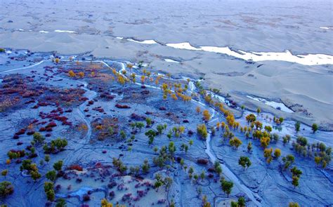 Secenry of the Tarim River-Xinjiang Tours| Xinjiang Travel