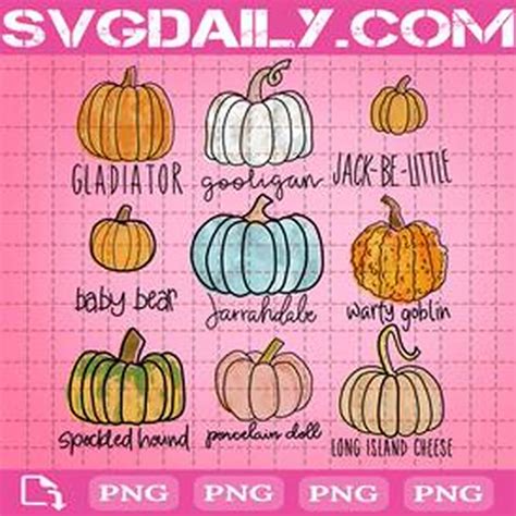 Fall Pumpkins Bundle Png - Daily Free Premium Svg Files