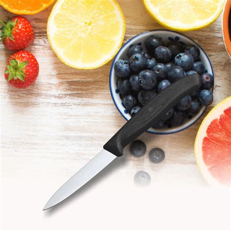 Top 5 Gordon Ramsay Knives Recommendations For Every Kitchen