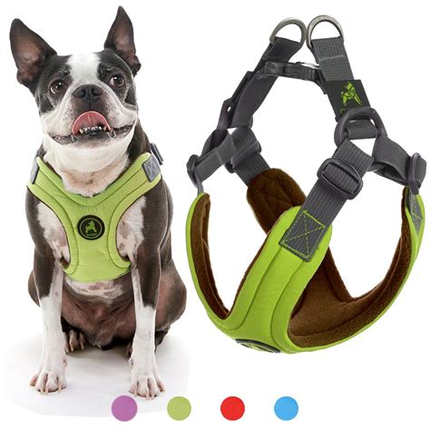 Gooby Dog Harness - Green, Medium - Escape Free Memory Foam Step-in ...