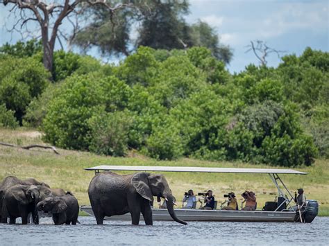 The Chobe | The Best Wildlife Photography Destination in Africa