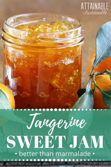 Tangerine Marmalade Recipe with Ginger and Vanilla for a Sweet Spread