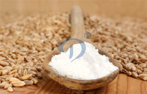 Wheat Starch Nutrition and Usage_Industry news