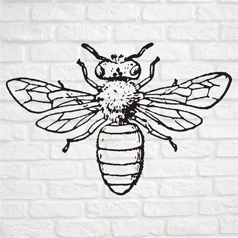 Bee, SVG, Files for Cricut, Clipart, Digital Download, Laser Cut Files ...