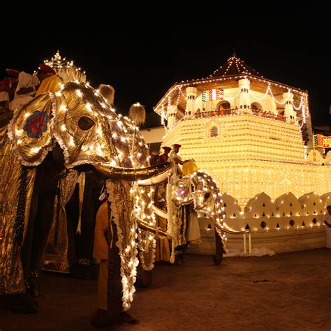 Kandy Esala Perahera (Festival of the Sacred Tooth) | Travel Sri Lanka Blog