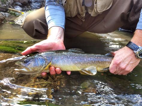 Fly Fishing Chile