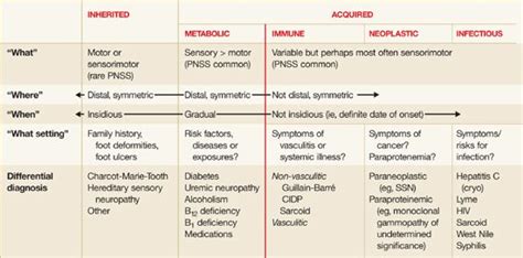 What Is Motor Peripheral Neuropathy | Webmotor.org