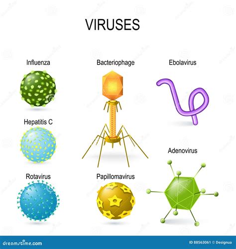 Different Shapes of Viruses Stock Vector - Illustration of bacteria ...