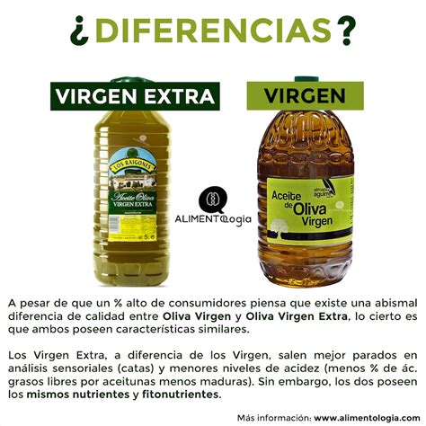 ventilador Anémona de mar blusa cual es el aceite de oliva extra virgen ...