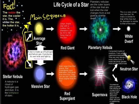 Stars Life cycle - sci661dylan