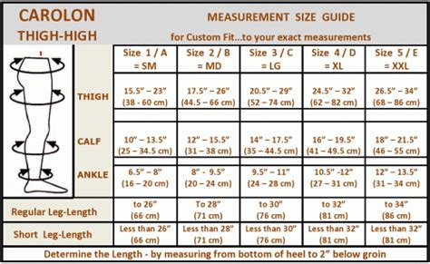 Ted Hose Size Chart For Women