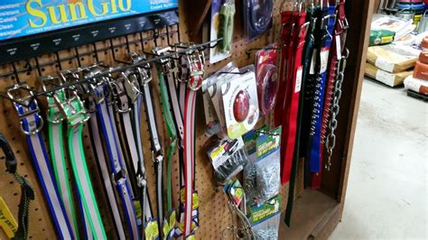 April 18 : Featured Item of the Week : Dog Leashes and Collars - Fleming Farm and Ranch Supply