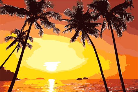 Sunset Arecaceae Silhouette Clip art - Tropical Sunset Cliparts png ...