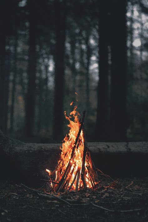 Forest Fire Wallpaper (54+ images)