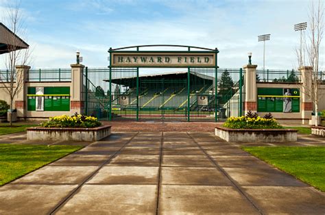 Hayward Field At University Of Oregon In Eugene Stock Photo - Download Image Now - iStock