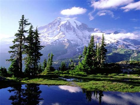 Mount Rainier National Park - Ashford, Washington