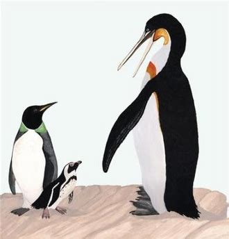 Ancient Penguins | Tars Tarkas.NET