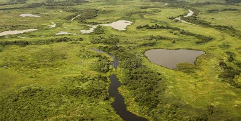 Aerial View of Pantanal Wetlands, Pantanal, Brazil Stock Photo - Image ...