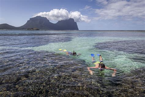 Shipwreck Snorkel | Pinetrees Lodge | Lord Howe Island