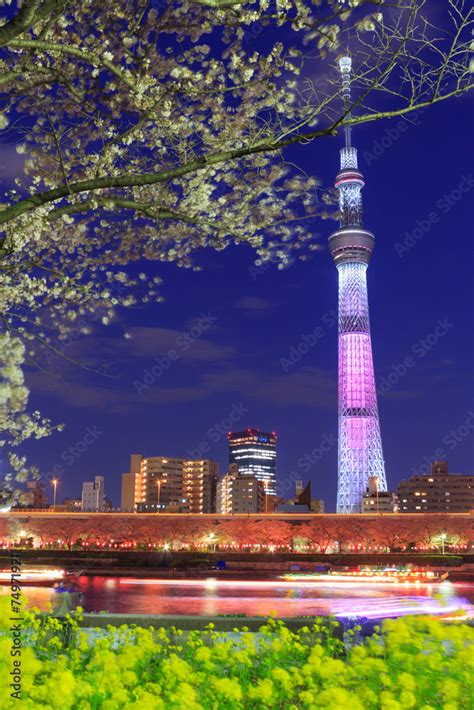 Cherry blossoms and the Tokyo Sky Tree in Tokyo at night Stock Photo ...