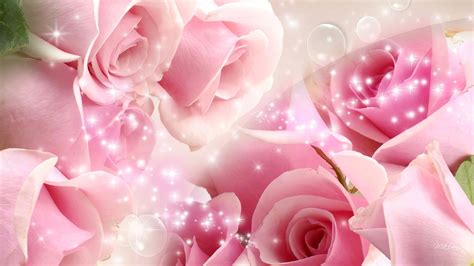 Download Pink Roses Background | Wallpapers.com