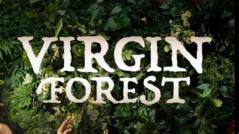 Review Lengkap Film Filipina Virgin Forest yang Dibintangi Angeli Khang - Tribunpekanbaru.com