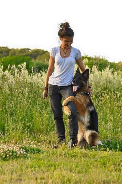 #German #Shepherd | Dog training obedience, German shepherd dogs, Dogs