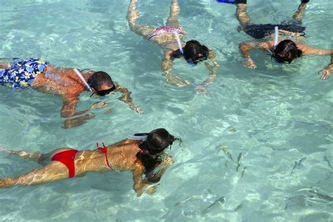 Snorkeling in Riviera Maya Mexico | Snorkeling - Enjoy a rel… | Flickr