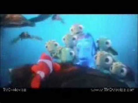 lyrics mr ray song finding nemo