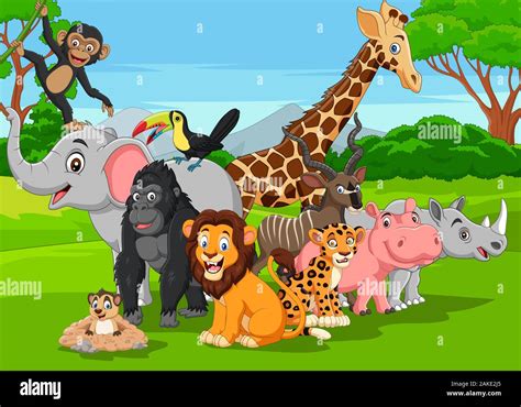 Jungle Cartoon Animals