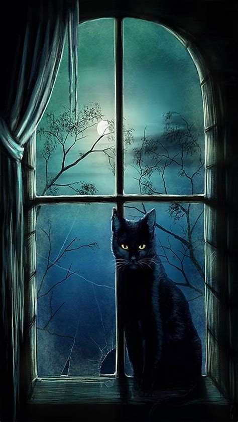 Halloween Black Cat Wallpaper | HQ Wallpapers