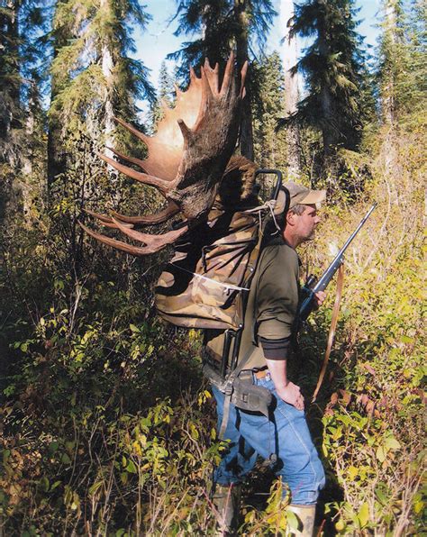 Bear Hunting Gallery, Hunting Photos from McGregor River Outfitters