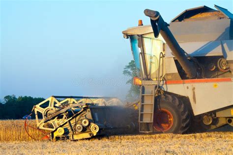 Harvester Machine To Harvest Wheat Field Working Stock Image - Image of food, grow: 139774685