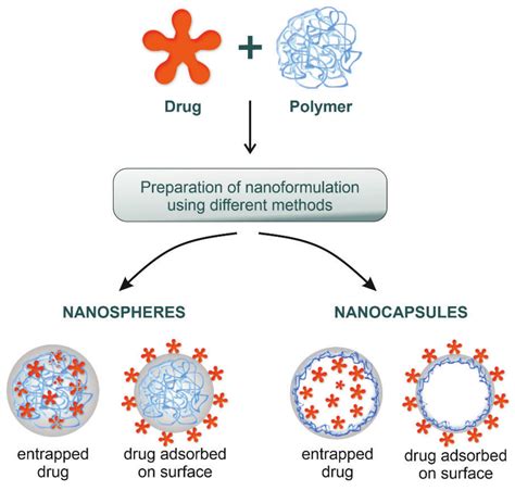 Applied Sciences | Free Full-Text | Polymeric Nanoparticles—Tools in a Drug Delivery System in ...