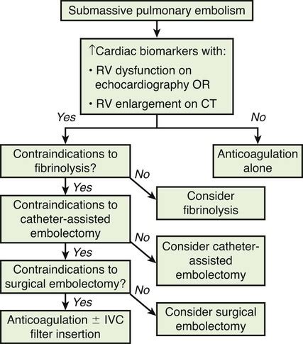 Percutaneous Interventions for Acute Pulmonary Embolism | Radiology Key