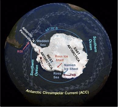 POPs in Antarctic ecosystems: is climate change affecting their ...