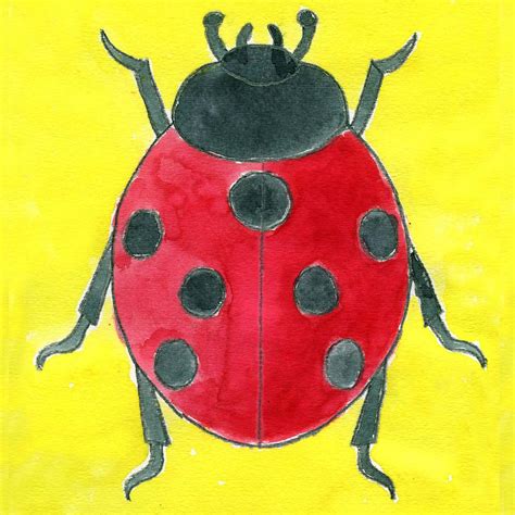 Easy How to Draw a Ladybug Tutorial and Ladybug Coloring Page